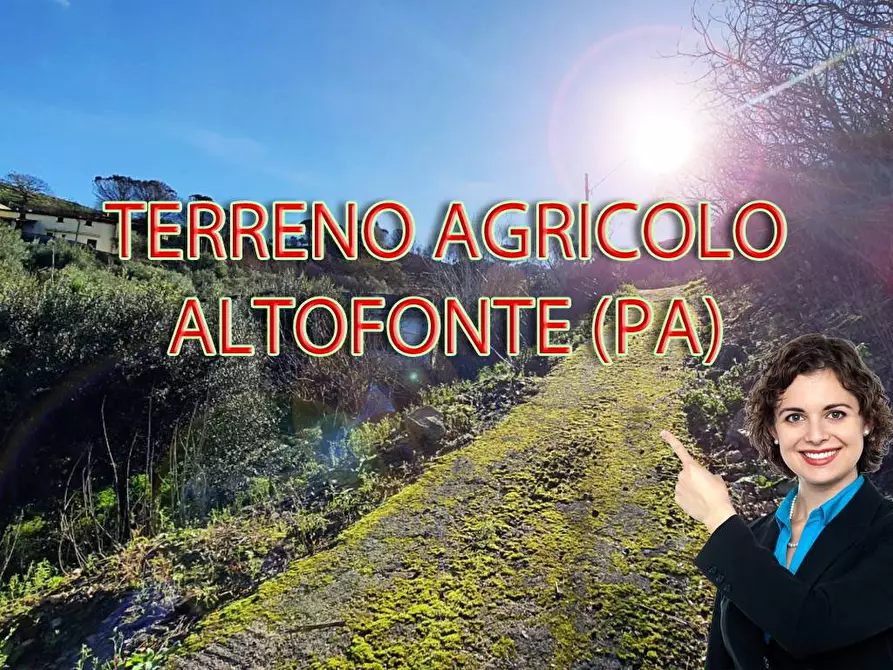 Immagine 1 di Terreno agricolo in vendita  in via ferrovia est a Altofonte