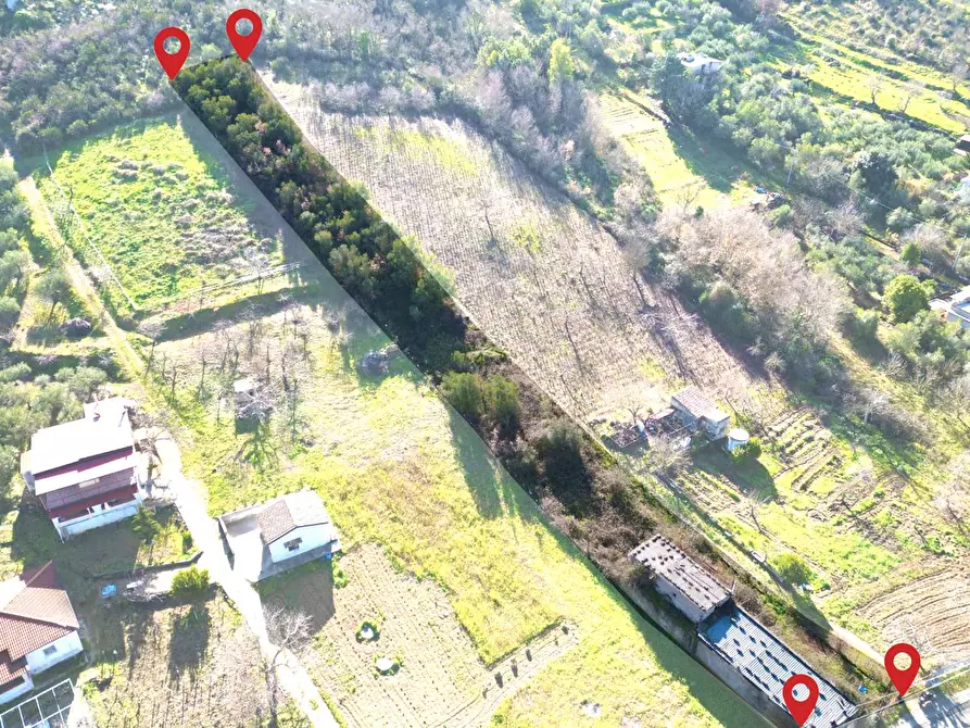 Immagine 22 di Terreno agricolo in vendita  in via rebuttone a Altofonte