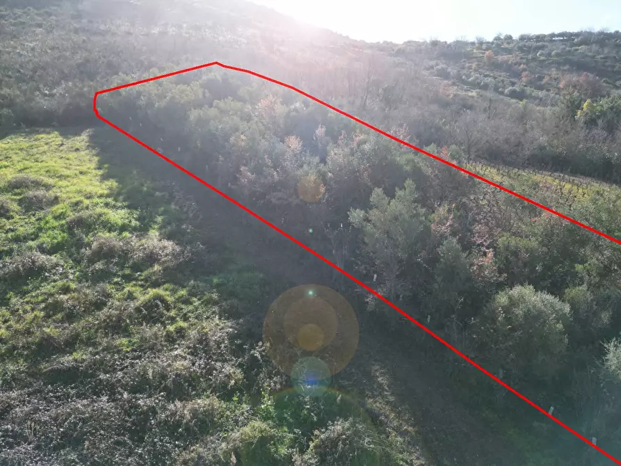 Immagine 27 di Terreno agricolo in vendita  in via rebuttone a Altofonte