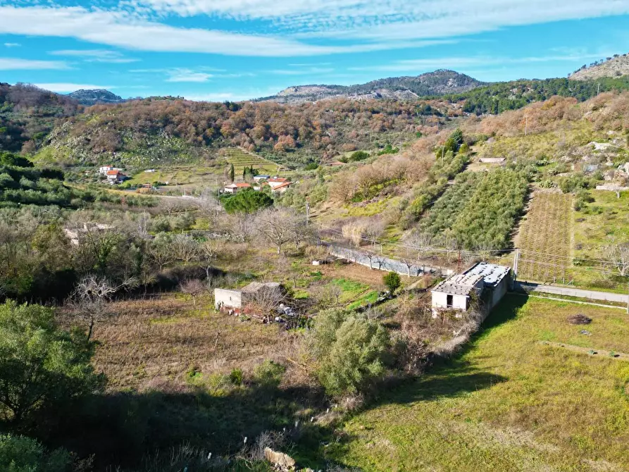 Immagine 28 di Terreno agricolo in vendita  in via rebuttone a Altofonte