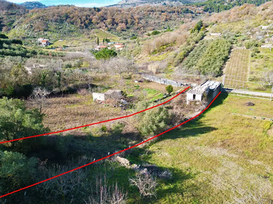 Immagine 29 di Terreno agricolo in vendita  in via rebuttone a Altofonte