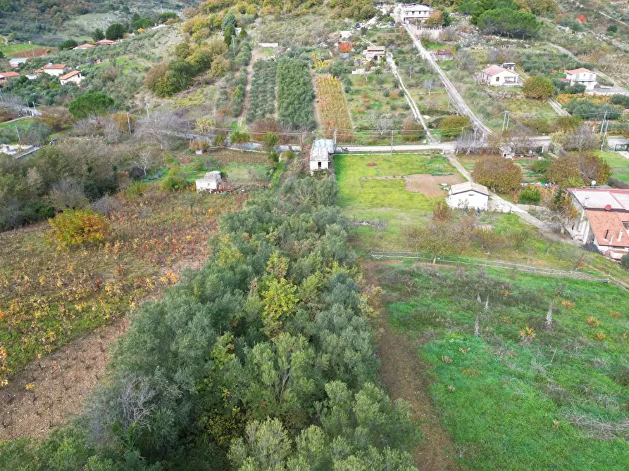 Immagine 8 di Terreno agricolo in vendita  in via rebuttone a Altofonte