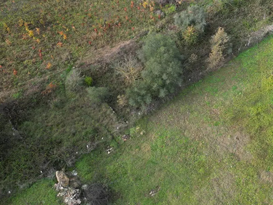 Immagine 12 di Terreno agricolo in vendita  in via rebuttone a Altofonte