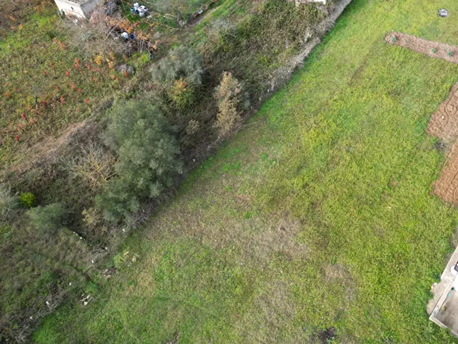 Immagine 13 di Terreno agricolo in vendita  in via rebuttone a Altofonte