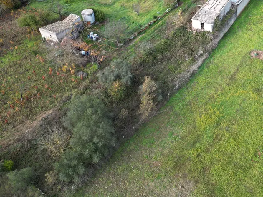 Immagine 14 di Terreno agricolo in vendita  in via rebuttone a Altofonte