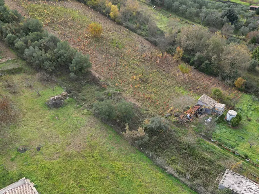 Immagine 15 di Terreno agricolo in vendita  in via rebuttone a Altofonte