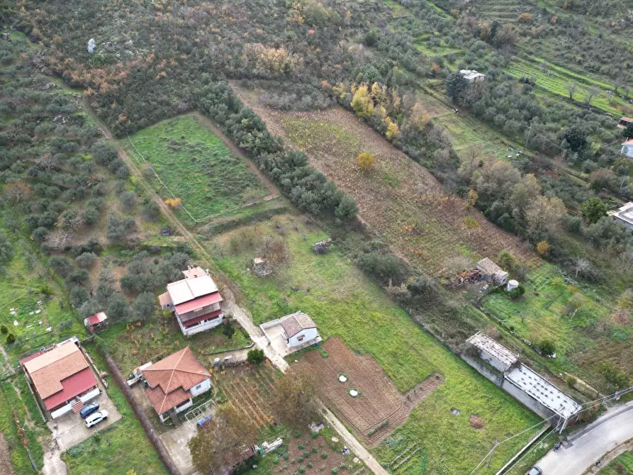 Immagine 17 di Terreno agricolo in vendita  in via rebuttone a Altofonte