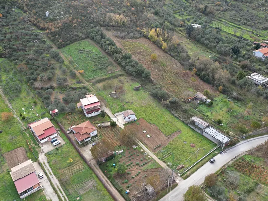 Immagine 18 di Terreno agricolo in vendita  in via rebuttone a Altofonte
