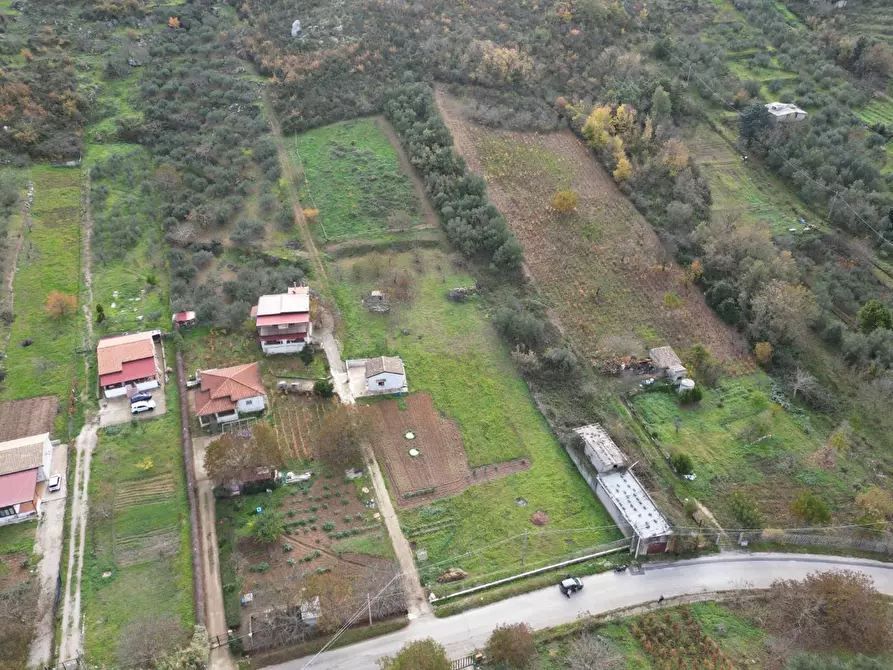 Immagine 19 di Terreno agricolo in vendita  in via rebuttone a Altofonte