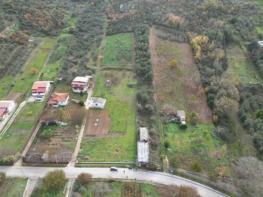Immagine 20 di Terreno agricolo in vendita  in via rebuttone a Altofonte
