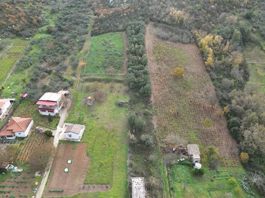 Immagine 22 di Terreno agricolo in vendita  in via rebuttone a Altofonte