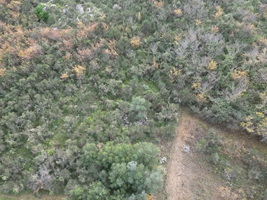 Immagine 23 di Terreno agricolo in vendita  in via rebuttone a Altofonte