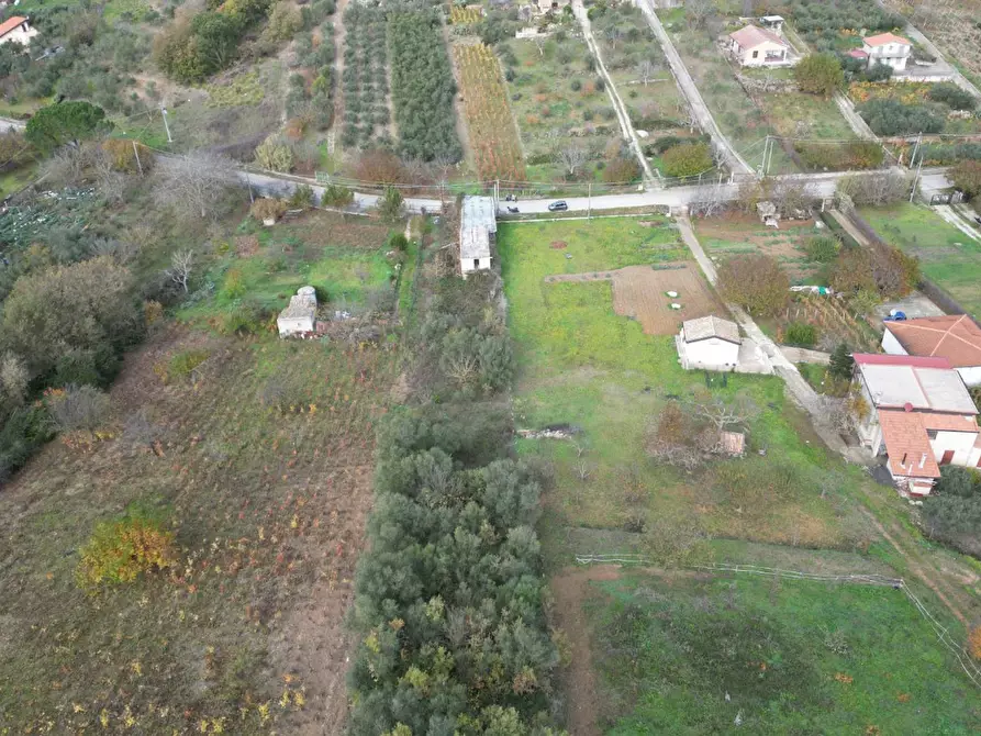 Immagine 25 di Terreno agricolo in vendita  in via rebuttone a Altofonte