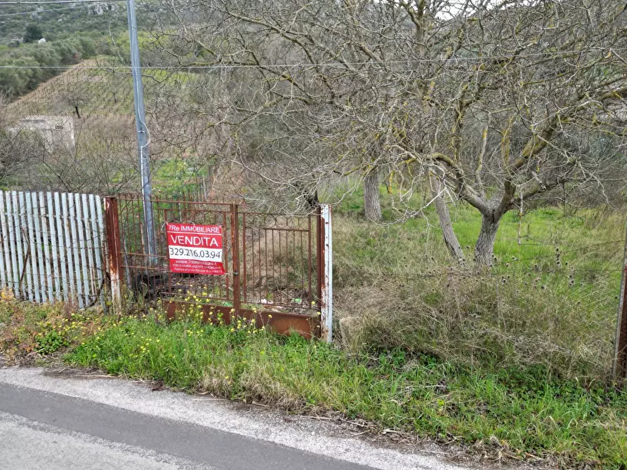 Immagine 26 di Terreno agricolo in vendita  in via rebuttone a Altofonte