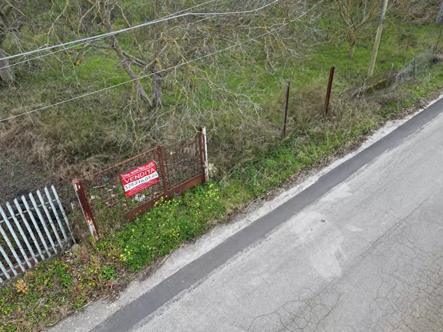 Immagine 28 di Terreno agricolo in vendita  in via rebuttone a Altofonte