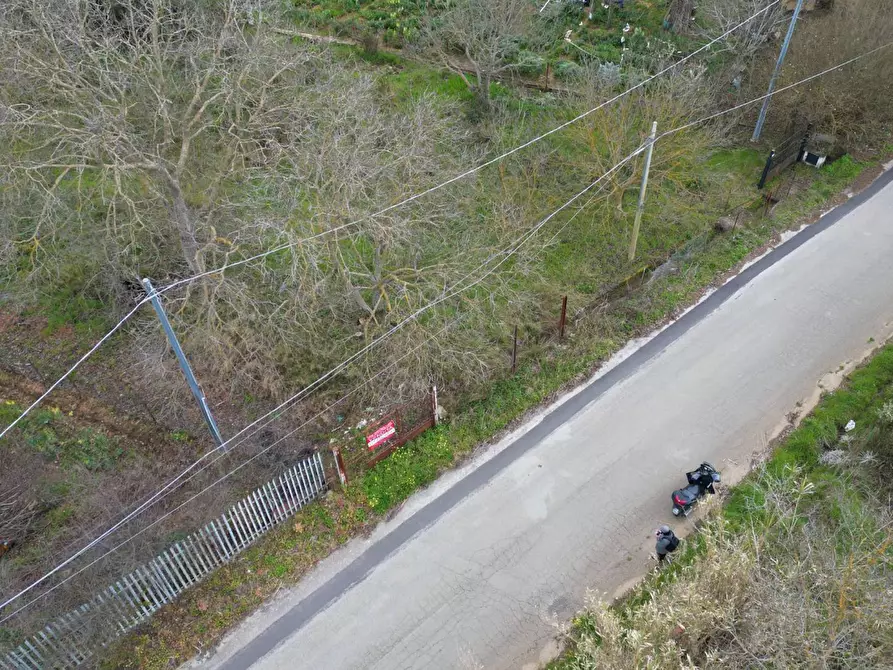 Immagine 30 di Terreno agricolo in vendita  in via rebuttone a Altofonte
