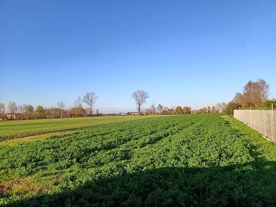Immagine 5 di Terreno residenziale in vendita  in via vetrego a Mirano