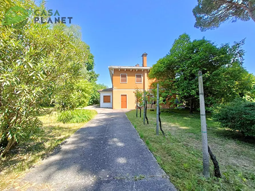 Immagine 3 di Casa indipendente in vendita  in VIA BELLINCIONI a Mogliano Veneto