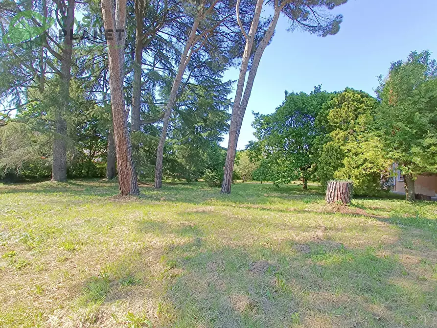 Immagine 10 di Casa indipendente in vendita  in VIA BELLINCIONI a Mogliano Veneto