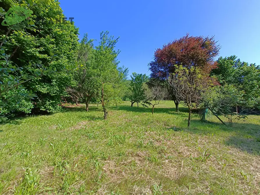 Immagine 2 di Casa indipendente in vendita  in VIA BELLINCIONI a Mogliano Veneto