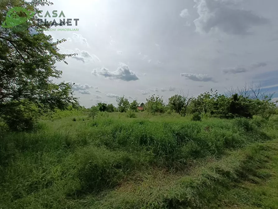 Immagine 25 di Casa indipendente in vendita  in via trieste a Villorba