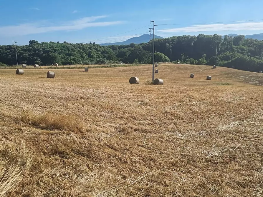 Immagine 2 di Terreno agricolo in vendita  in Via Marcigliana a Palestrina