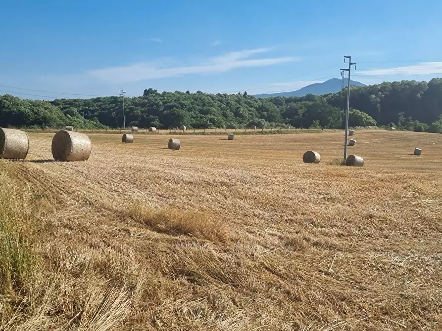 Immagine 4 di Terreno agricolo in vendita  in Via Marcigliana a Palestrina