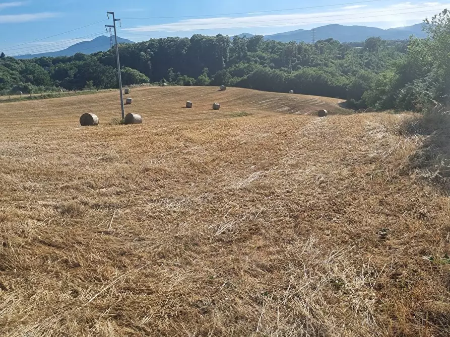 Immagine 5 di Terreno agricolo in vendita  in Via Marcigliana a Palestrina