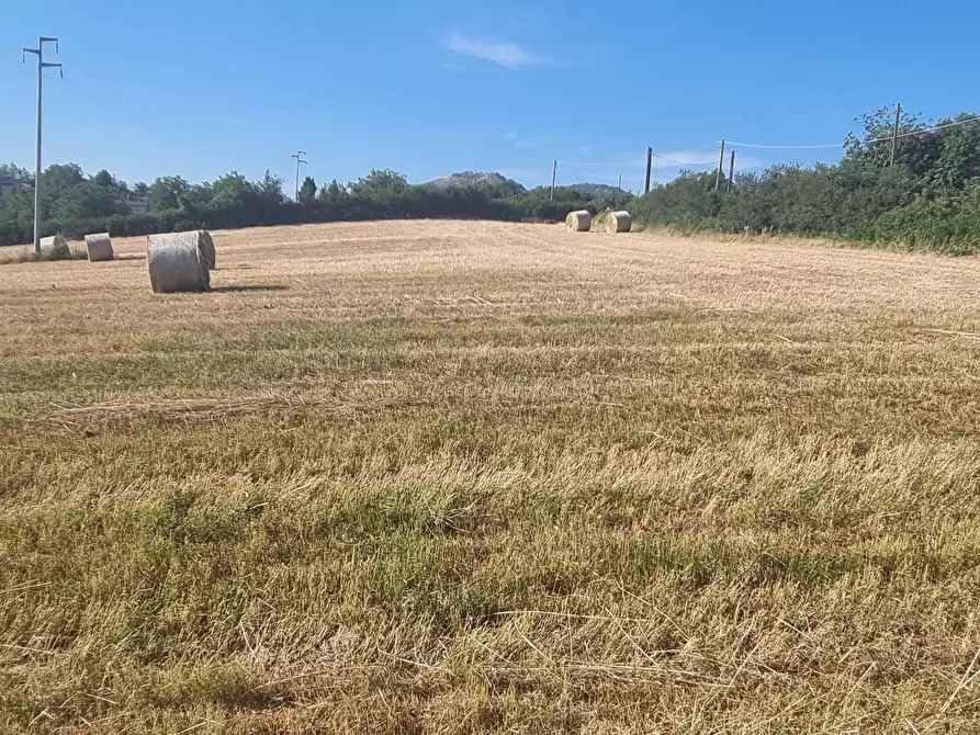 Immagine 6 di Terreno agricolo in vendita  in Via Marcigliana a Palestrina