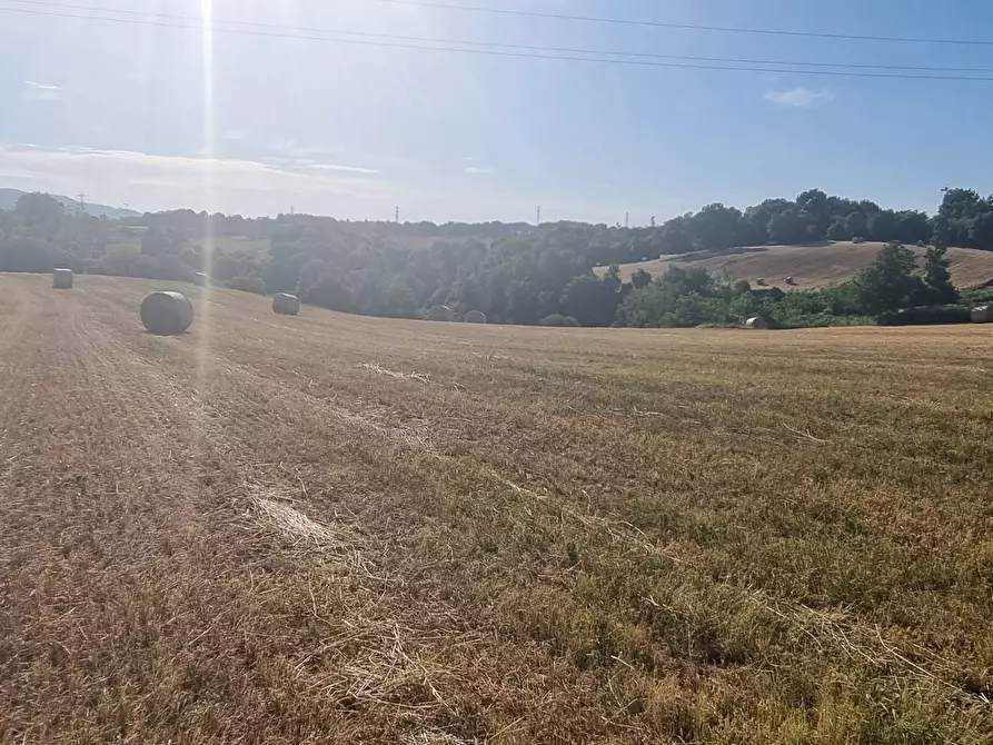 Immagine 7 di Terreno agricolo in vendita  in Via Marcigliana a Palestrina