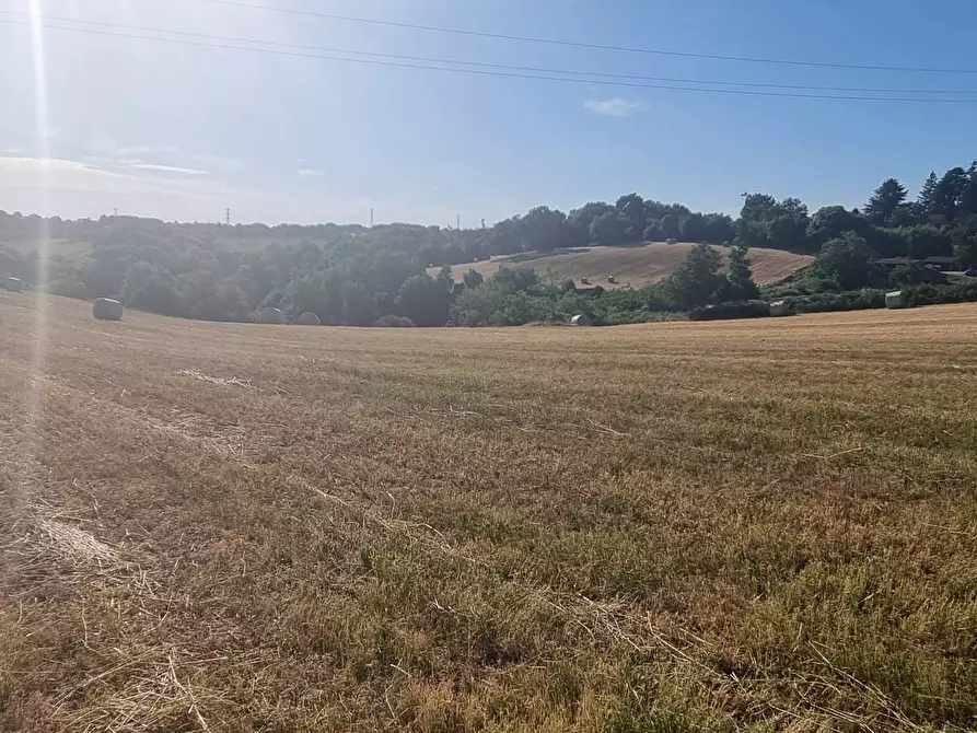 Immagine 3 di Terreno agricolo in vendita  in Via Marcigliana a Palestrina