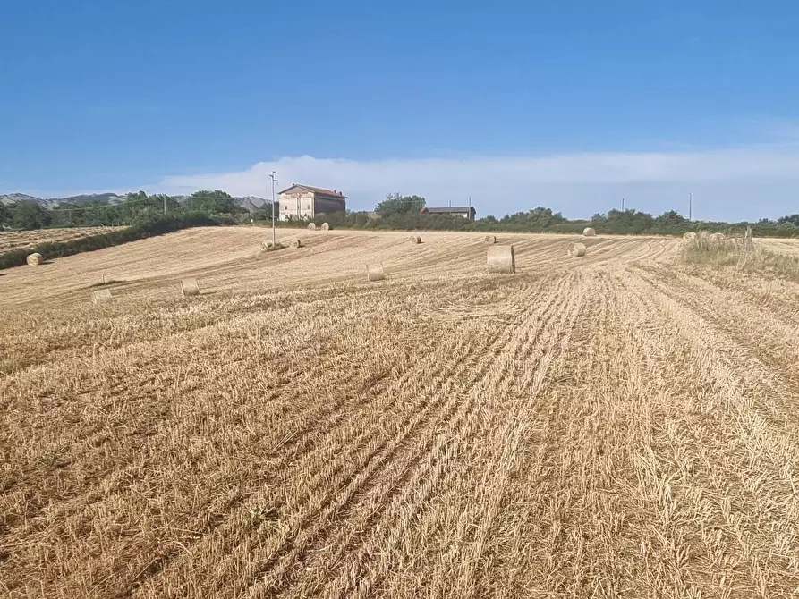 Immagine 8 di Terreno agricolo in vendita  in Via Marcigliana a Palestrina