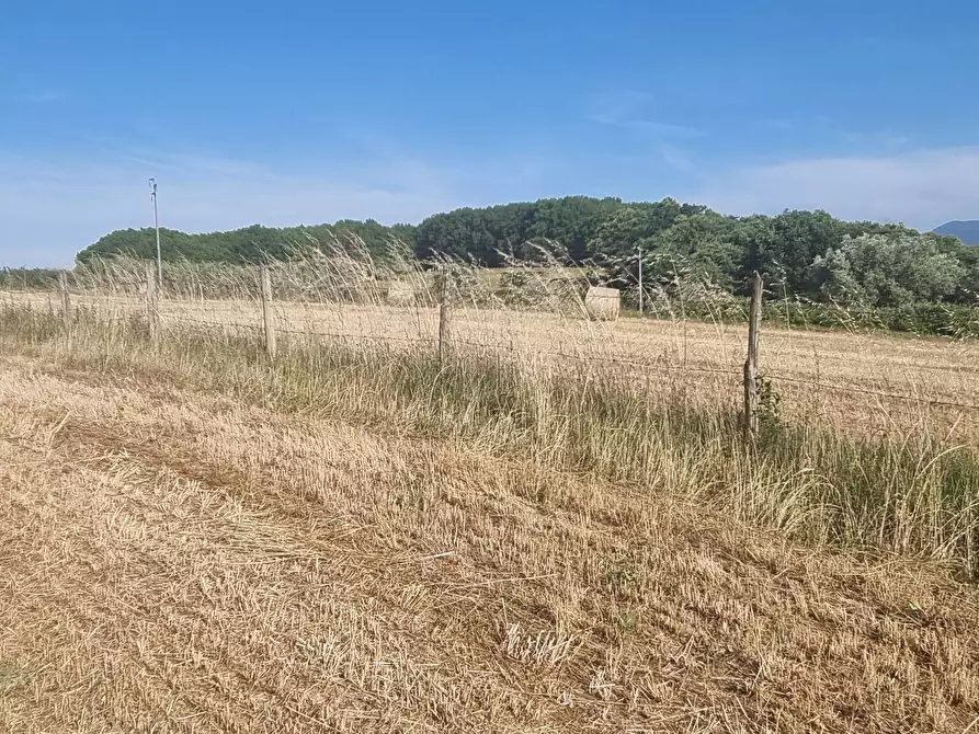 Immagine 9 di Terreno agricolo in vendita  in Via Marcigliana a Palestrina