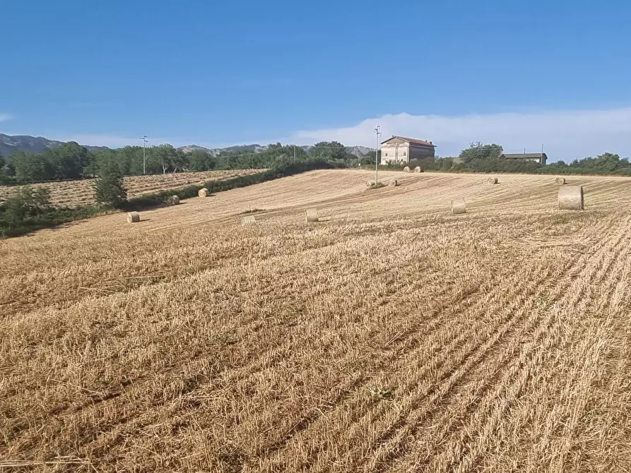 Immagine 10 di Terreno agricolo in vendita  in Via Marcigliana a Palestrina