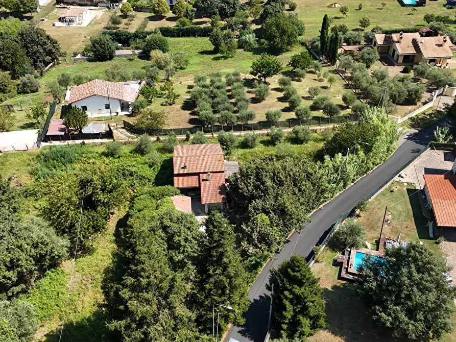 Immagine 16 di Villa in vendita  in Via San Pietro a Palestrina