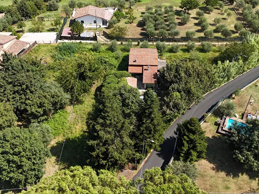 Immagine 17 di Villa in vendita  in Via San Pietro a Palestrina