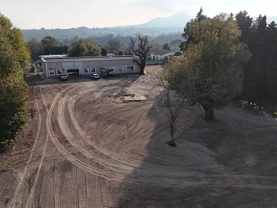 Immagine 27 di Capannone industriale in affitto  in Via Stradella a Labico