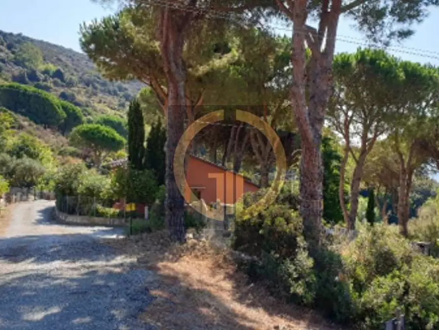 Immagine 24 di Villa in vendita  in Via del Serone a Campo Nell'elba