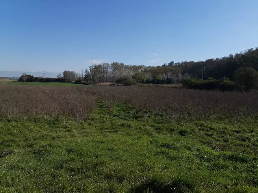 Immagine 2 di Terreno agricolo in vendita  in via Del puntone a Bientina