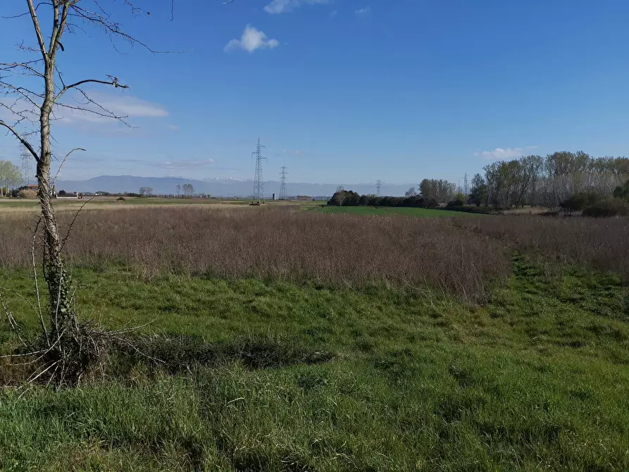 Immagine 3 di Terreno agricolo in vendita  in via Del puntone a Bientina
