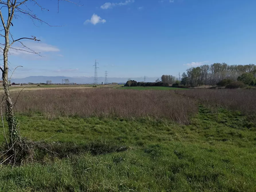 Immagine 5 di Terreno agricolo in vendita  in via Del puntone a Bientina