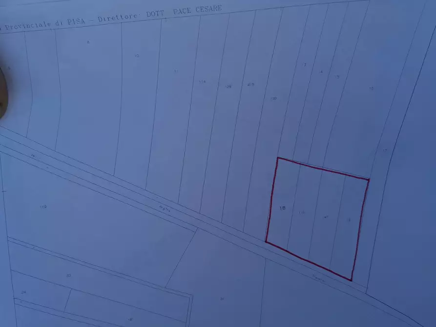 Immagine 7 di Terreno agricolo in vendita  in via Del puntone a Bientina