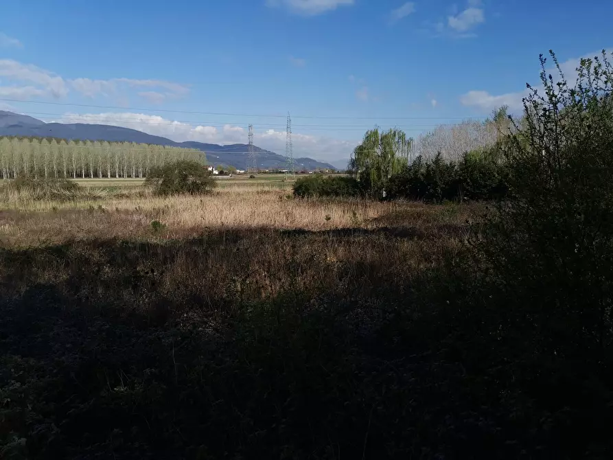 Immagine 9 di Terreno agricolo in vendita  in via Del puntone a Bientina