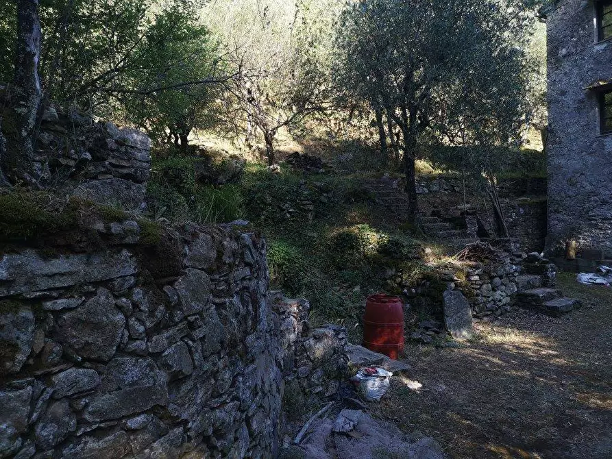 Immagine 2 di Casa indipendente in vendita  in PANICALE a Buti