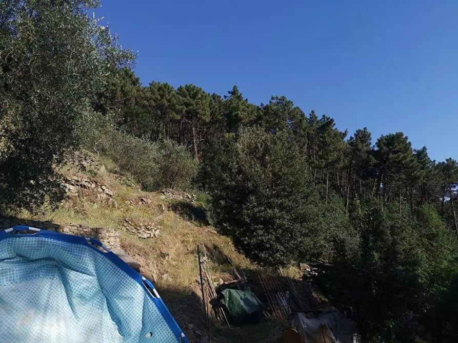 Immagine 8 di Casa indipendente in vendita  in PANICALE a Buti