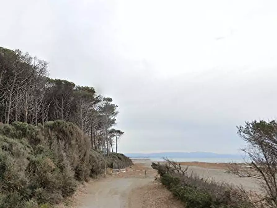 Immagine 3 di Casa indipendente in vendita  in LOCALITò COLOMBAIA a Suvereto