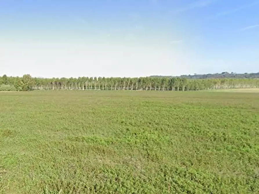 Immagine 2 di Magazzino in affitto  in VIA DEL PARCO a Vicopisano