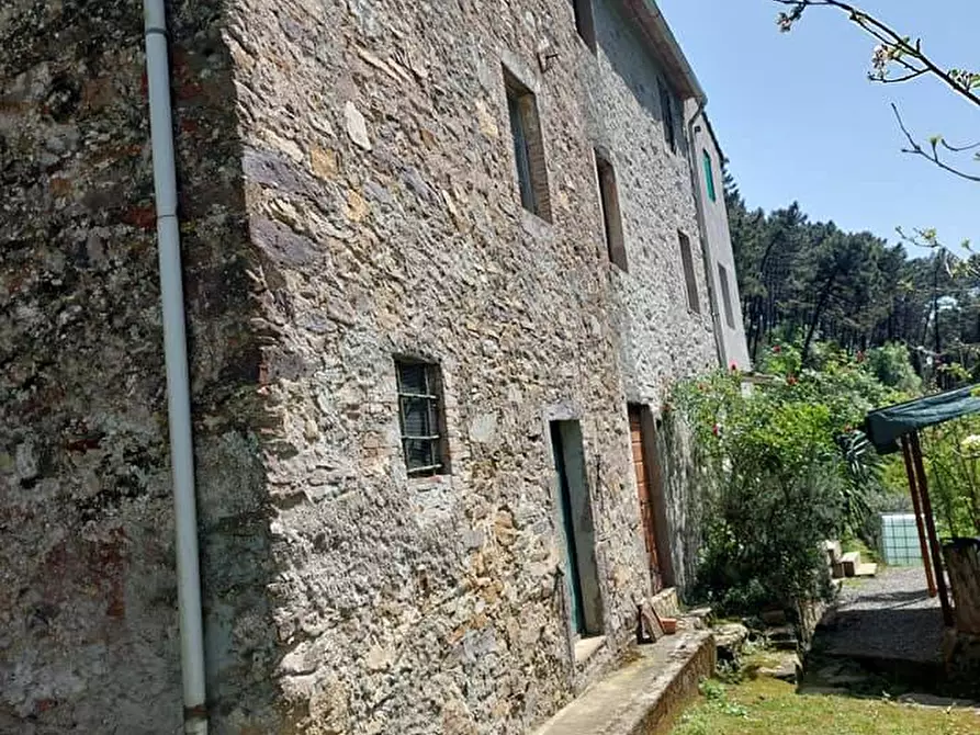 Immagine 21 di Casa indipendente in vendita  in PANICALE a Buti