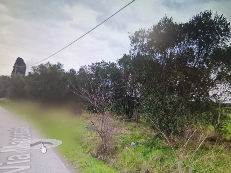 Immagine 3 di Magazzino in affitto  in VIA CARRAIA a Vicopisano