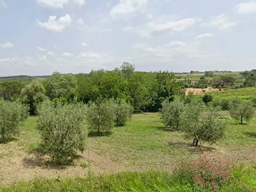 Immagine 1 di Capannone industriale in vendita  in VIA GIUSEPPE VERDI a Buti